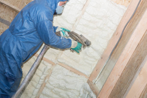 Best Eco-Friendly or Green Insulation Solutions  in Huntley, IL